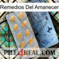 Sunrise Remedies 44